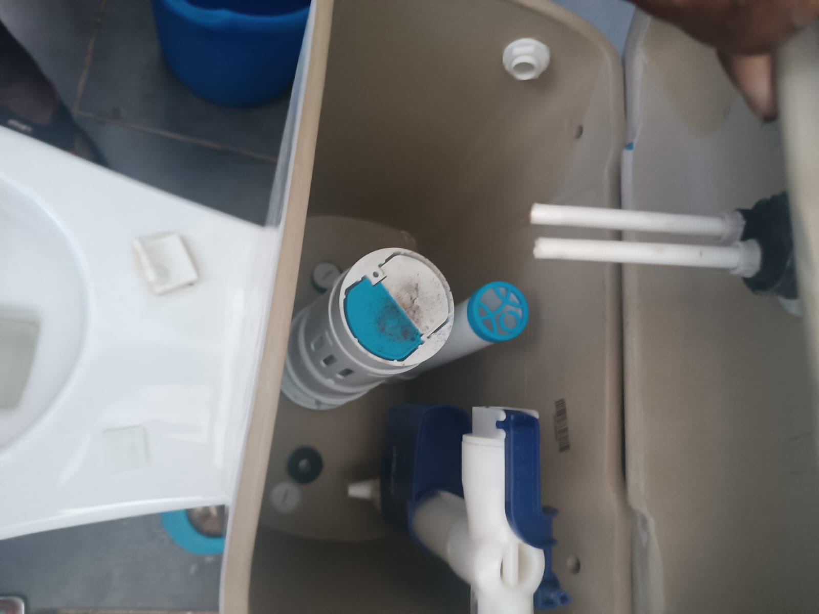 Après — Canalisation & mécanisme WC : Mécanisme de chasse remis à neuf, WC opérationnel